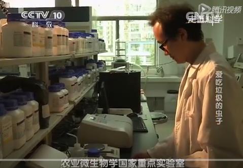 生态文明中国行黑水虻神奇的抗菌肽 视频
